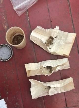 ����������, �������� �������� ���� �� �����, �������