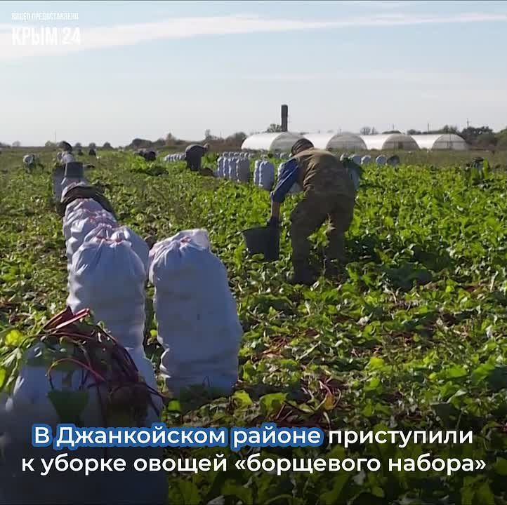 � ����� ������� ����� ���������� ������