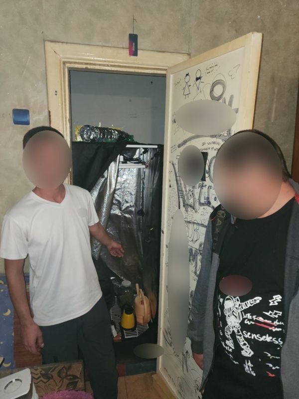 Домашний ботаник: в Евпатории полицейские изъяли у местного жителя наркотические средства, выращенные в боксе для гидропоники