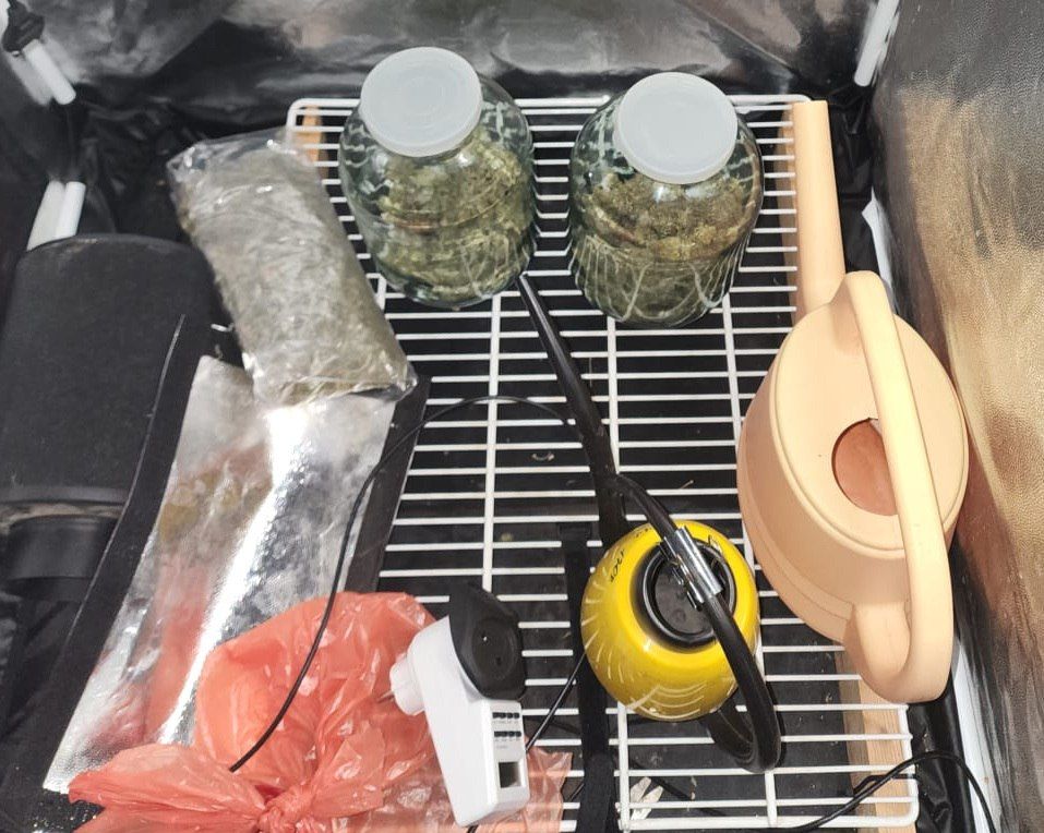 Домашний ботаник: в Евпатории полицейские изъяли у местного жителя наркотические средства, выращенные в боксе для гидропоники Домашний ботаник: в Евпатории полицейские изъяли у местного жителя наркотические средства, выращенные в боксе для гидропоники