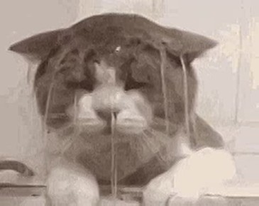    !