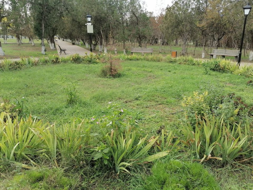 �������� �������: ��������� ��������� � ������� �������������