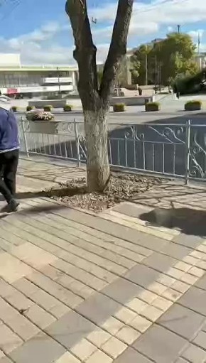   ,           