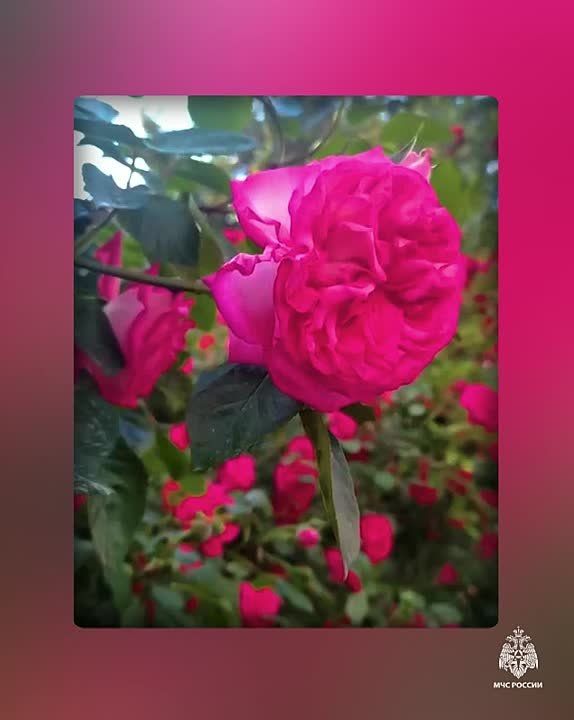 О погоде на полуострове. переменная облачность