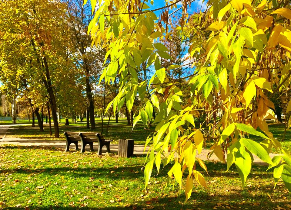 � ������ �����, �������!. ������ ��� �� ������ ������� � ������������, ��������� ��������� �����, ���������� ����� � ���� ���� ���� �� ��������! ������� � �������� �����������, t + 7 - +14, ����� ���������, �����