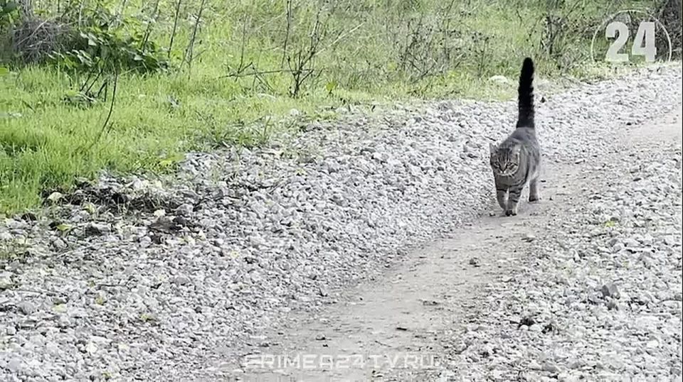 ���������� � �����: ��� �������� ����� � ����� ���������� ���� �����