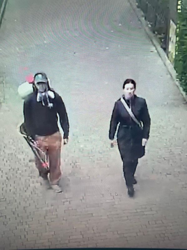 В Алуште неизвестные повредили молодые саженцы