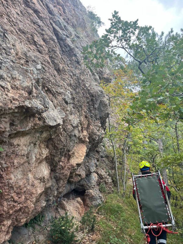 ����� ����� �������� ��������� ������ ������������� ������� � �����-������ ���� �� ����