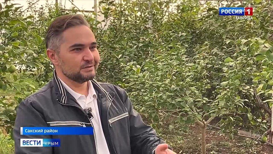 � ����� ��������� � ����� ������ �������