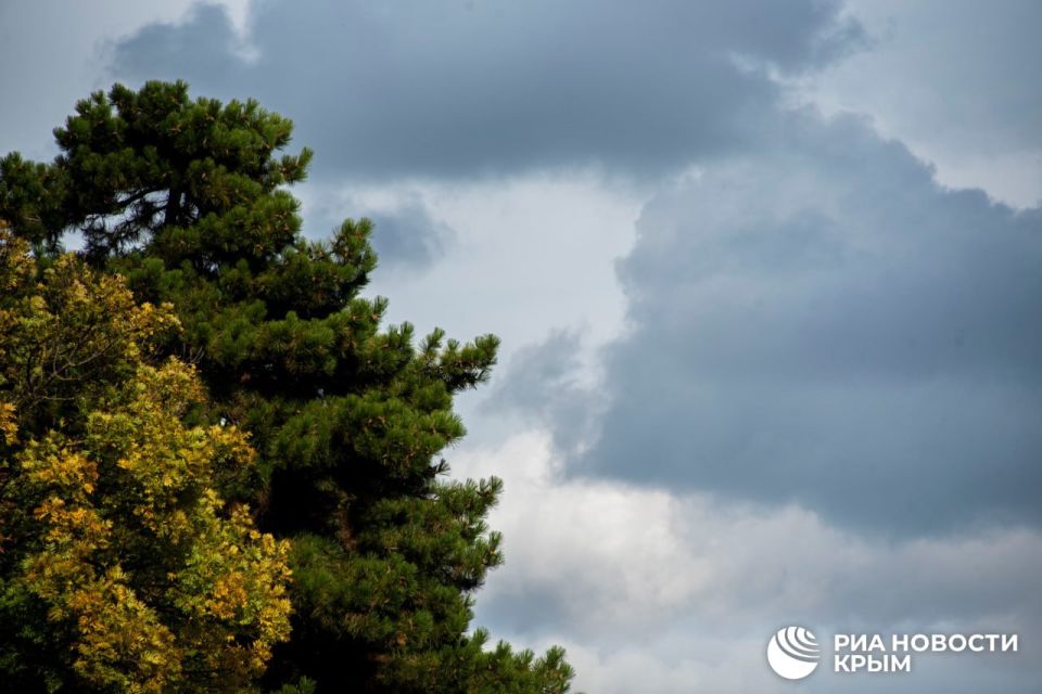 ������� ������ � ����� �� �������