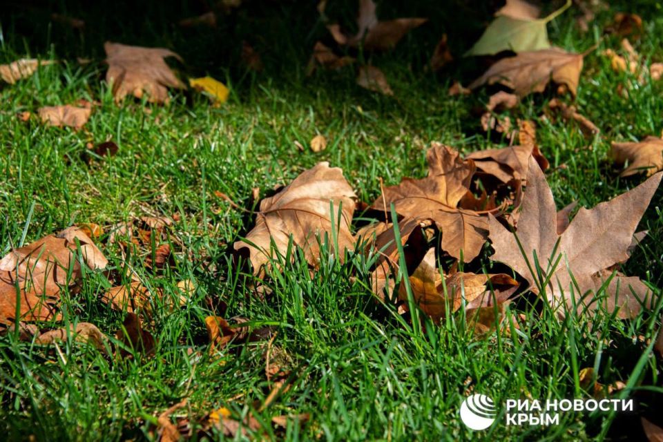 ������� ������ � ����� �� �����������