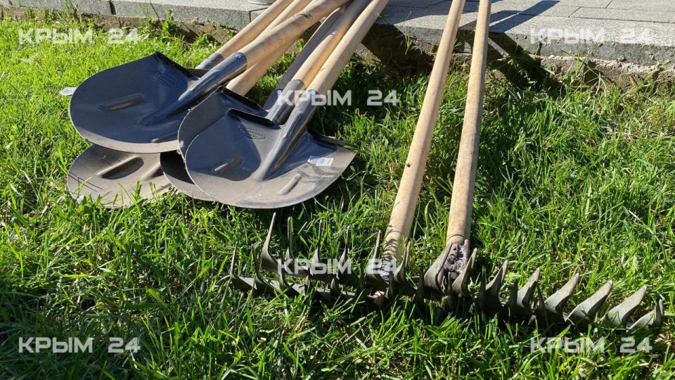 � ��������� ������� ������� ����� 25 ����� �������� � ����������� �� ����� ����