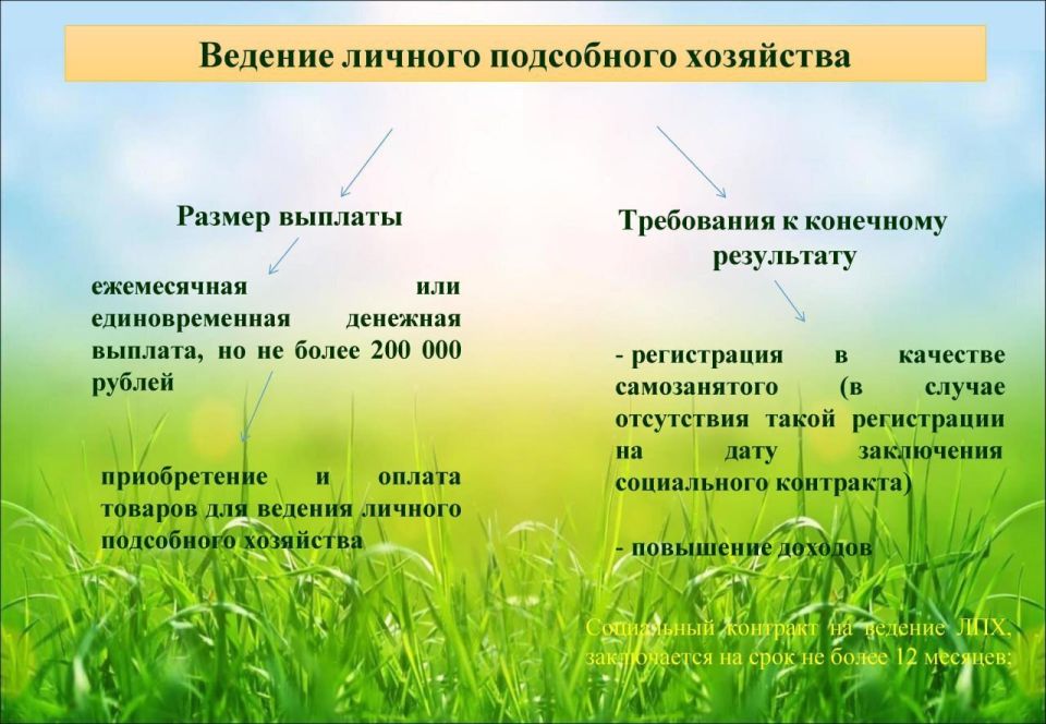 ��������������� ���������� ������ �� ��������� ����������� ��������� � ���������� ����