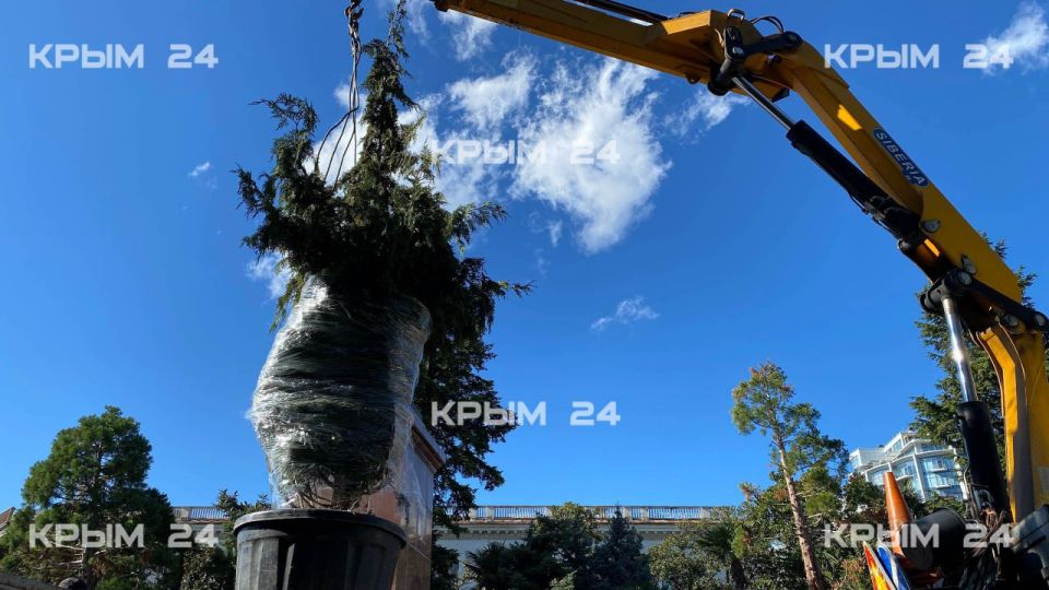 � ��������� ������� ������� ����� 25 ����� �������� � ����������� �� ����� ����