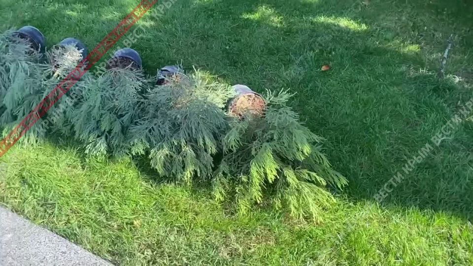 � ���� �������� ���������� ������� ������� ������ ����������