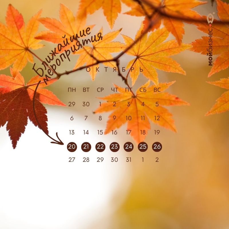 ��������� �����������: 20 � 26 �������