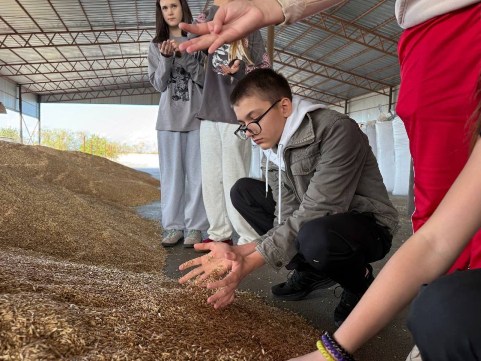 ��������� �������: � ������ ������� ������� ������� ���� �� ������� �������������������� ����������� ������ ������ - ��� �������, ������������� � ���� ������������