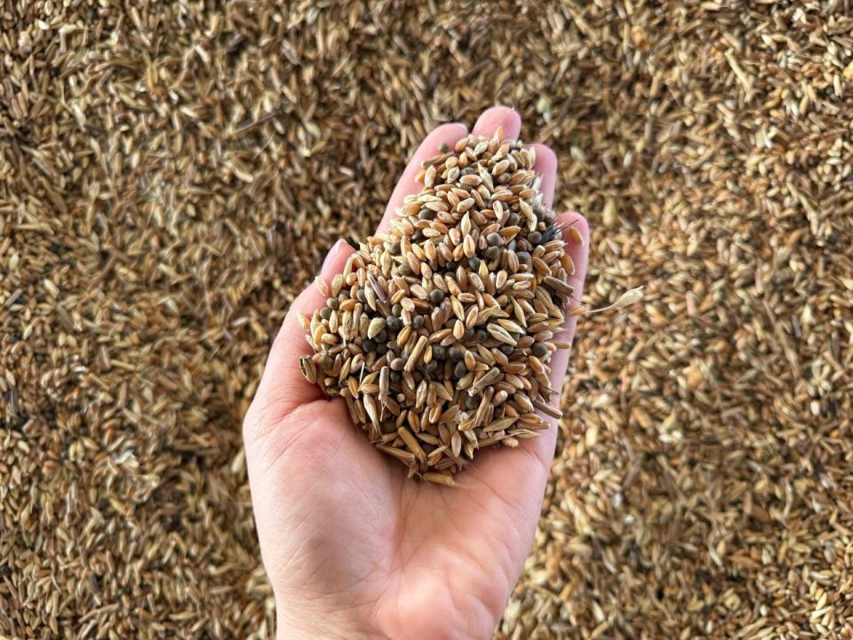 ��������� �������: � ������ ������� ������� ������� ���� �� ������� �������������������� ����������� ������ ������ - ��� �������, ������������� � ���� ������������