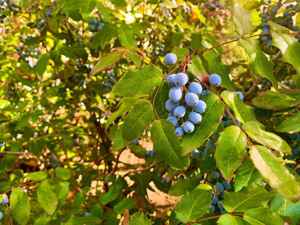 � ������ �����, �������!. ����� ���� ���� �������� � ������������ ������, ��������� ���������, ������ ������, ��������� �����