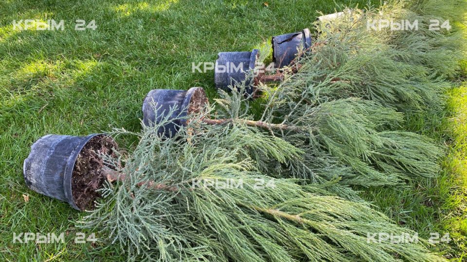 � ��������� ������� ������� ����� 25 ����� �������� � ����������� �� ����� ����