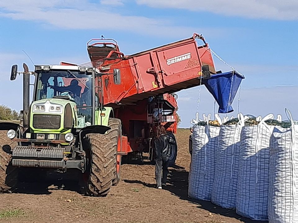 В Республике Крым началась масштабная механизированная уборка овощей открытого грунта, так называемого «борщевого набора» — свеклы, моркови, капусты и лука В Республике Крым началась масштабная механизированная уборка овощей открытого грунта, так называемого «борщевого набора» — свеклы, моркови, капусты и лука