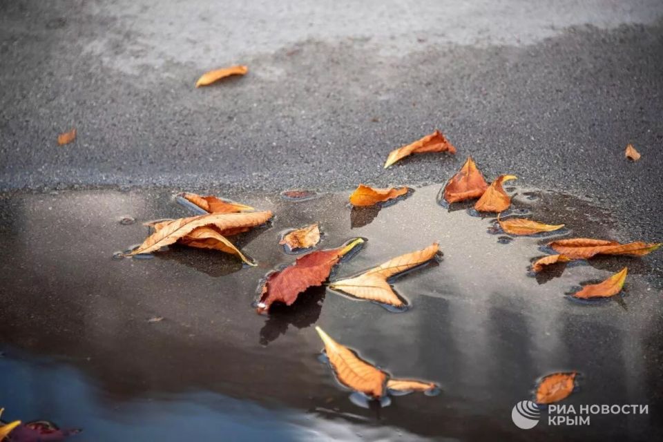 ������� ������ � ����� �� �����������