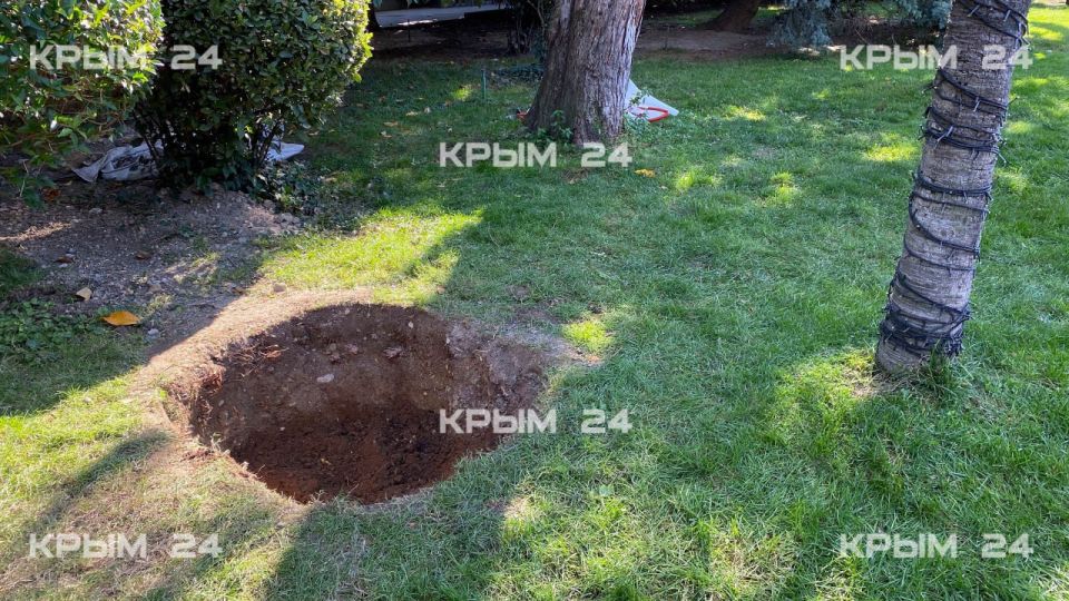 � ��������� ������� ������� ����� 25 ����� �������� � ����������� �� ����� ����