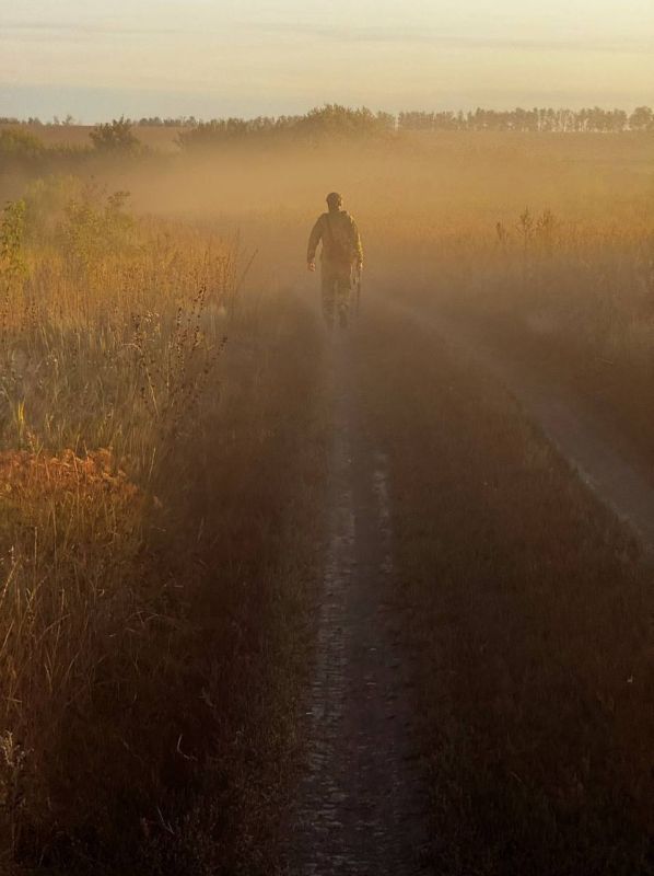 ������ ���������: ������� ���� �������� � ��������� ������������ ���������