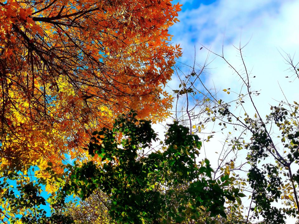 � ������ �����, �������!. ����� ������ ������ ����� ��� ����� ����������� � �������! ������� � �������� �����������, t + 5 - +13, ����� ���������, ��������