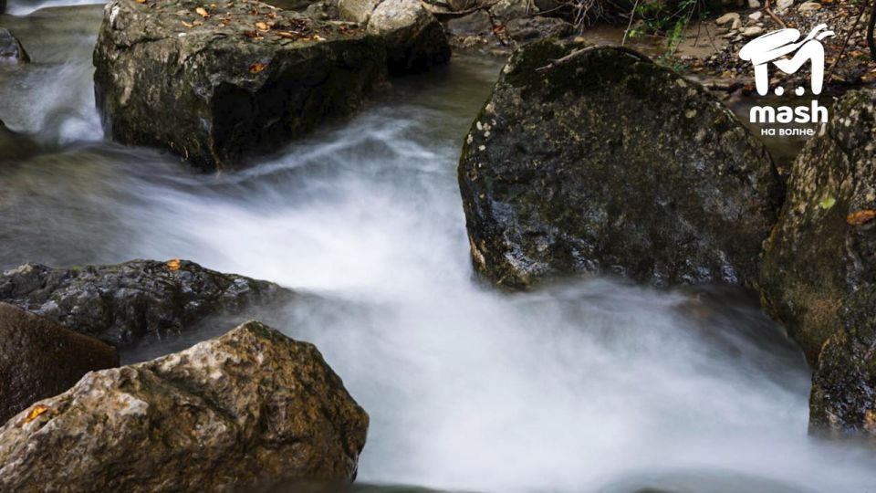 Релакс подгоняем. Наденьте наушники и послушайте, как звучит водопад Джур Джур — видосик нам скинули наш любимый подписчик в предложку Релакс подгоняем. Наденьте наушники и послушайте, как звучит водопад Джур Джур — видосик нам скинули наш любимый подписчик в предложку