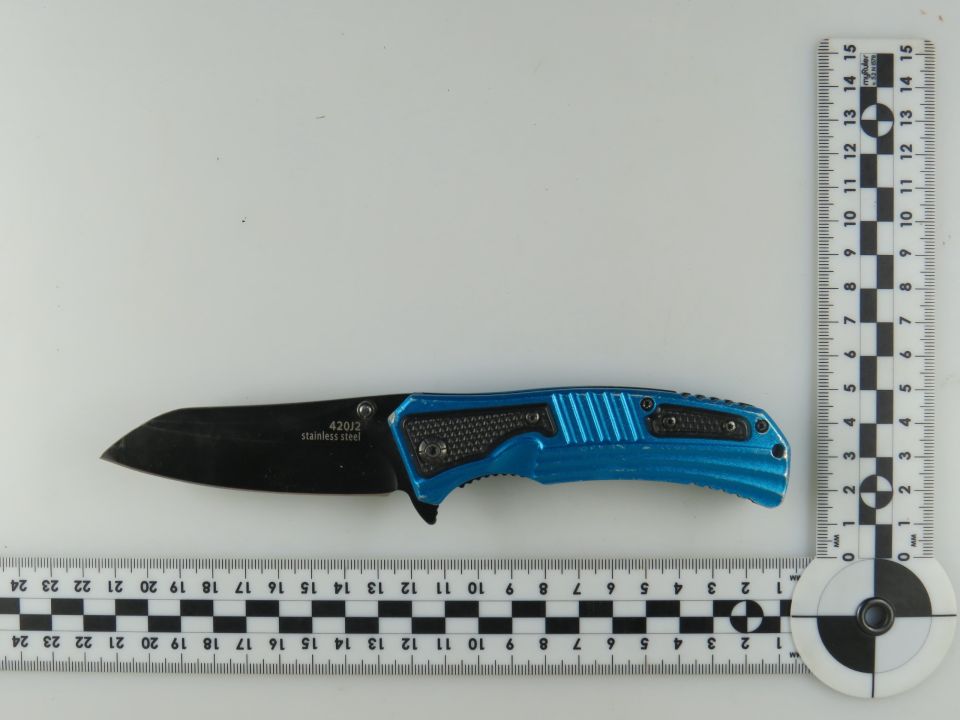 В Ялте возбуждено уголовное дело в отношении мужчины, угрожавшего ножом посетителям парка