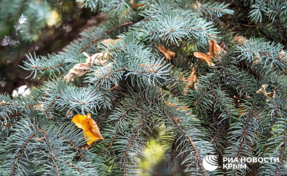 ������� ������ � ����� �� �������