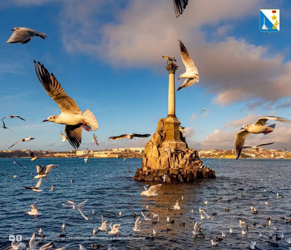 Малый бизнес и промышленность развиваются в Севастополе