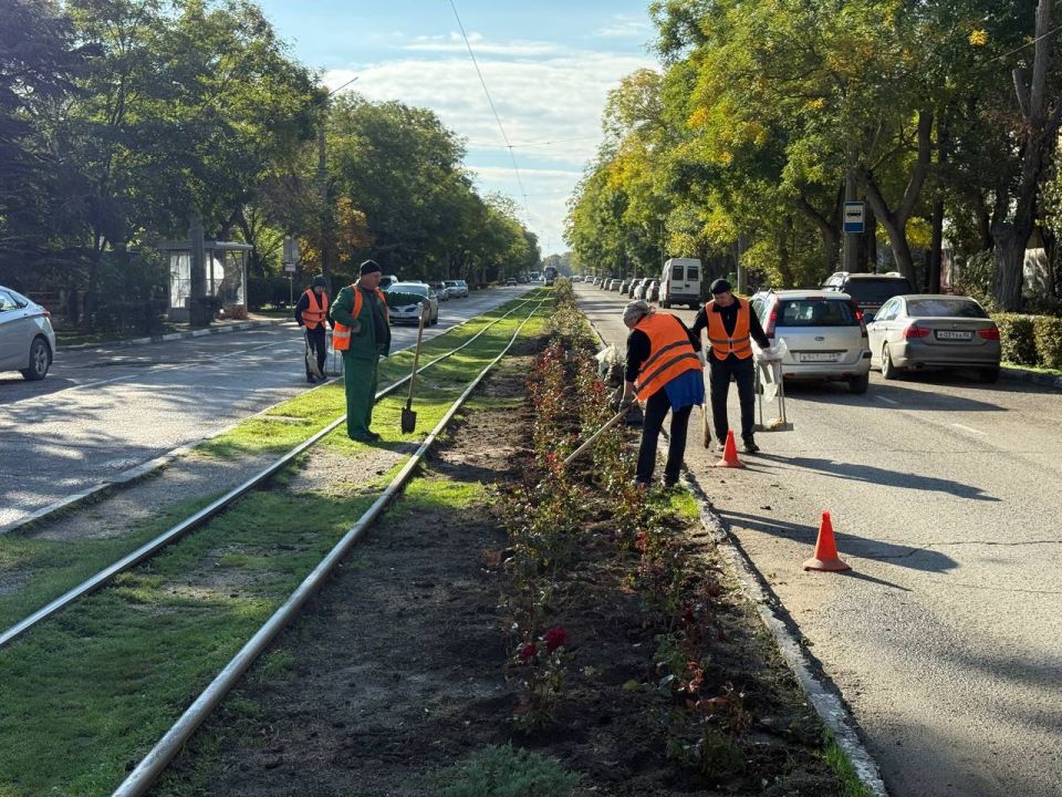 В Евпатории вдоль трамвайных путей высаживают аллею роз В Евпатории вдоль трамвайных путей высаживают аллею роз