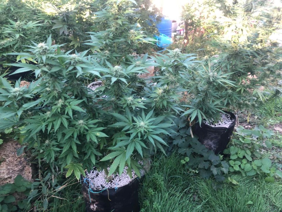 ���������� �������� ������ �������� ����������� ������� � ������ ����