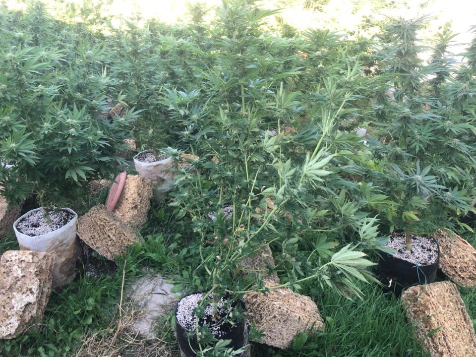 49-������ ������ �������� ������ ��������� �� ���� �������