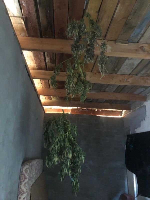 ���������� �������� ������ �������� ����������� ������� � ������ ����