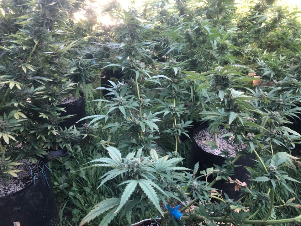 ���������� �������� ������ �������� ����������� ������� � ������ ����