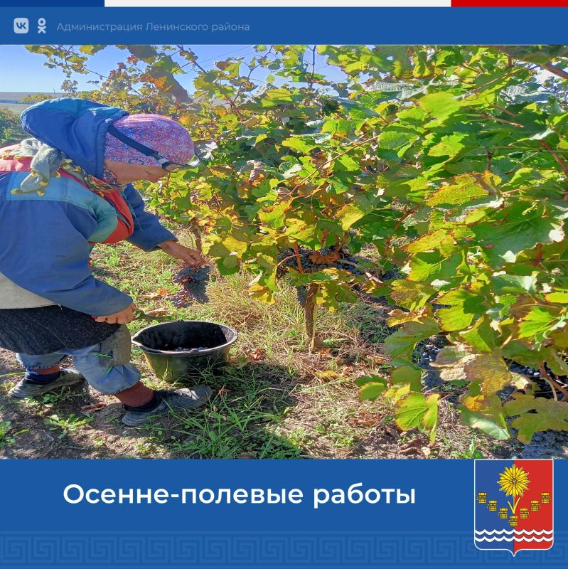 � ����� � ���������� �������� ������� � ������ ����������� ������ ���� ������ �������, �� ���� �����������, �������� �������� �������� �������� �������