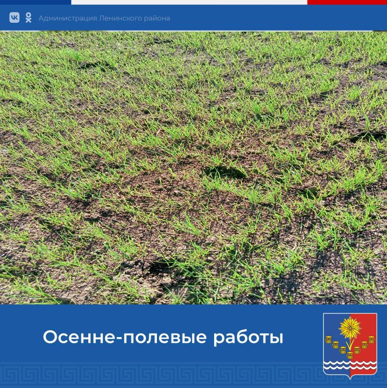 � ����� � ���������� �������� ������� � ������ ����������� ������ ���� ������ �������, �� ���� �����������, �������� �������� �������� �������� �������