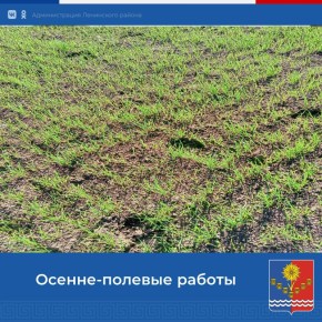 В связи с выпадением обильных осадков в период оптимальных сроков сева озимых культур, по мере возможности, посевная кампания уверенно набирает обороты