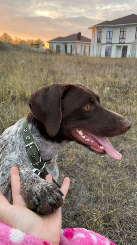 � ����� ���� ��� ��� ���������� ������, ������� �������� ������� �� ���� ���