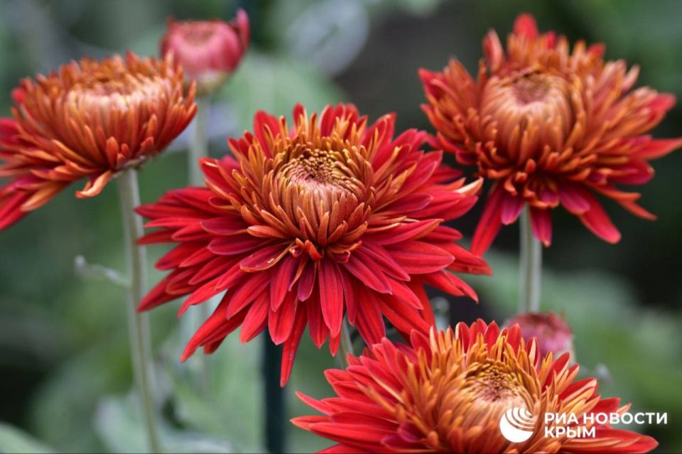 ������� ������ � ����� �� �������