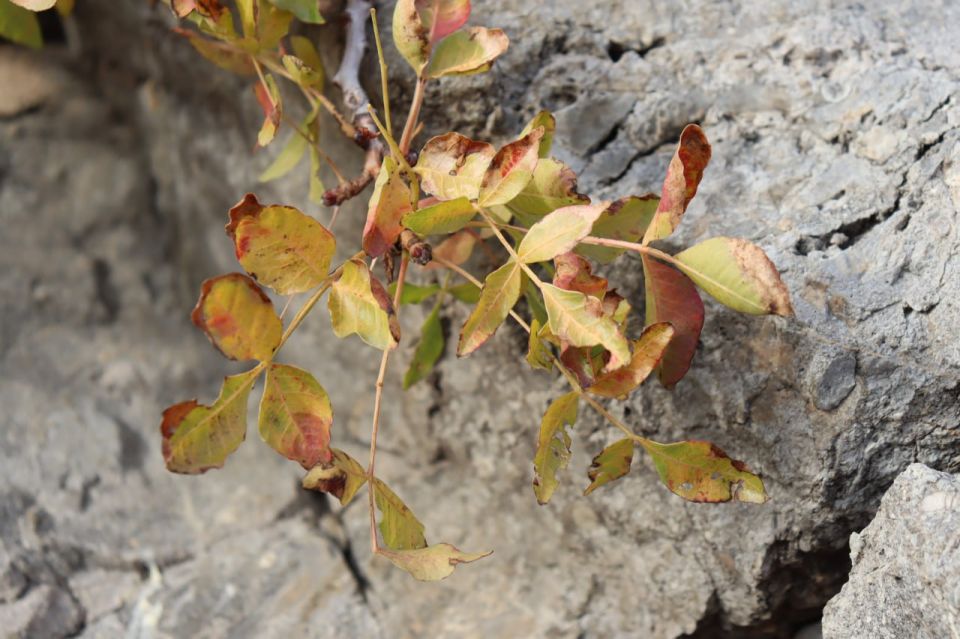 ������� ������ � ����� �� 23 �������