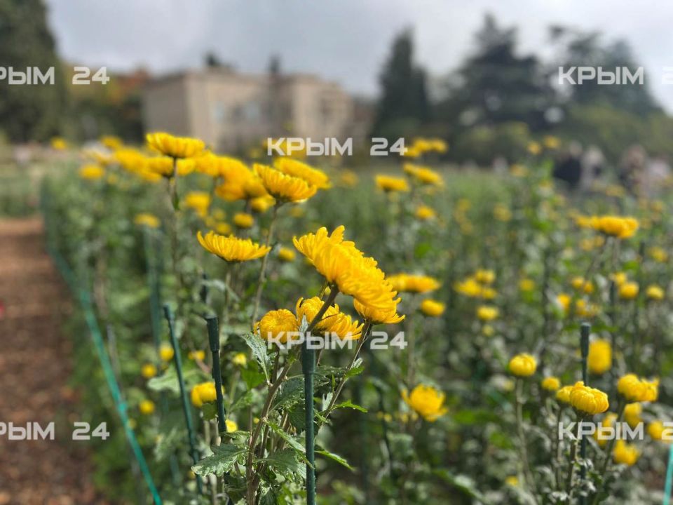 72-� ��� ��������� ���������� � ��������� ������������ ����