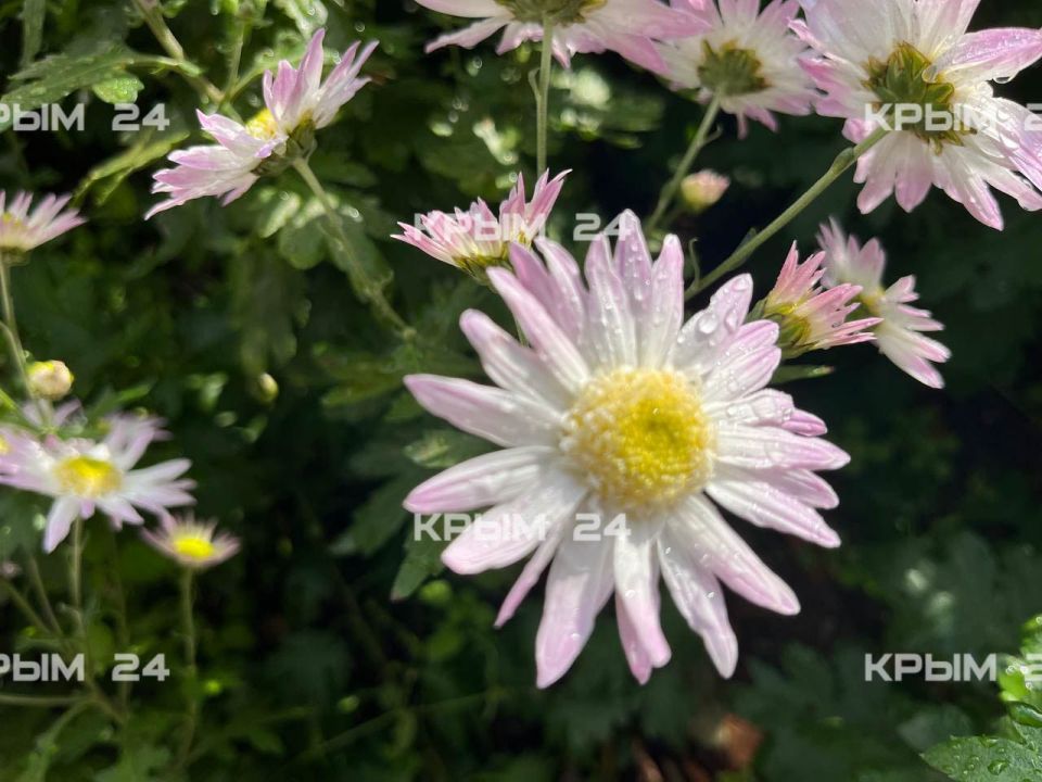 72-� ��� ��������� ���������� � ��������� ������������ ����