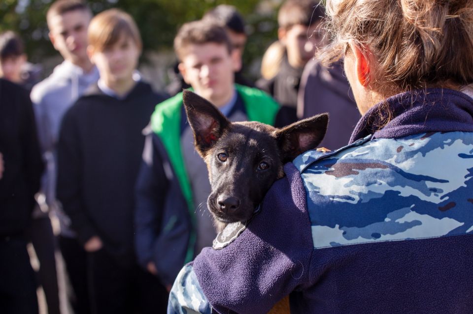 Крымские школьники открыли для себя мир кинологии