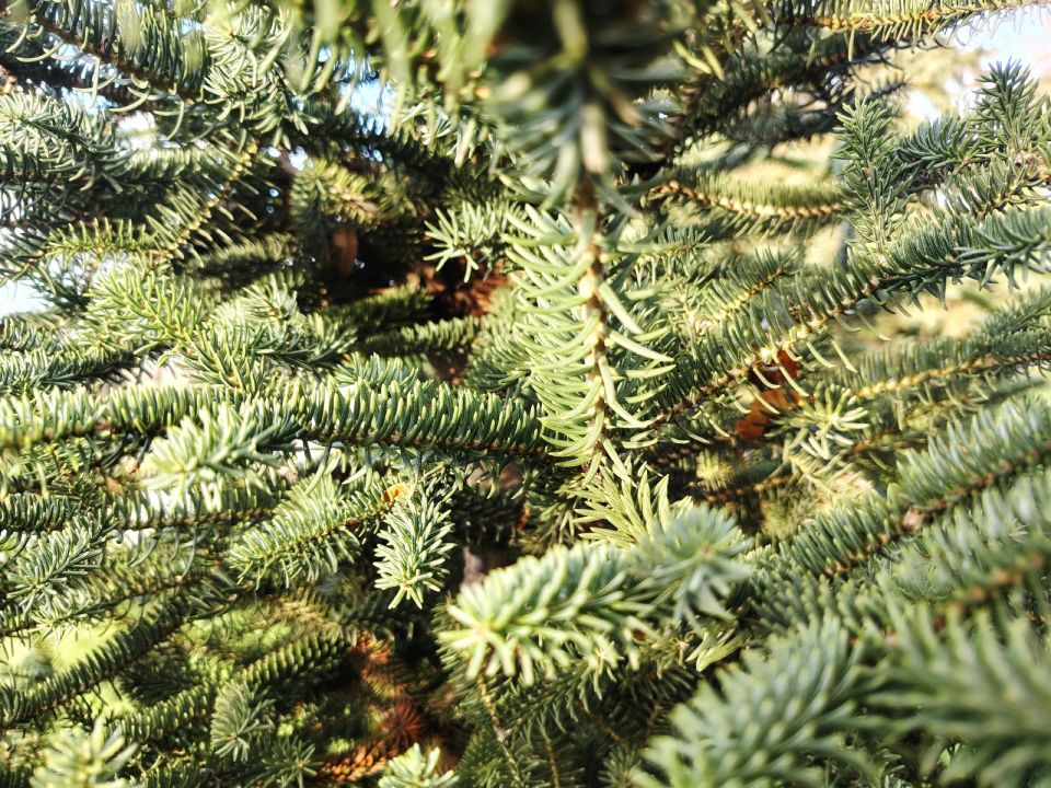 � ������ �����, �������!. ���� � ����� ��� ����� ���������! ����� ��� ����������� ���� ����� �������� �������� � �������! ������� � �������� �������, t + 9 - +17, ����� ���������, ���������