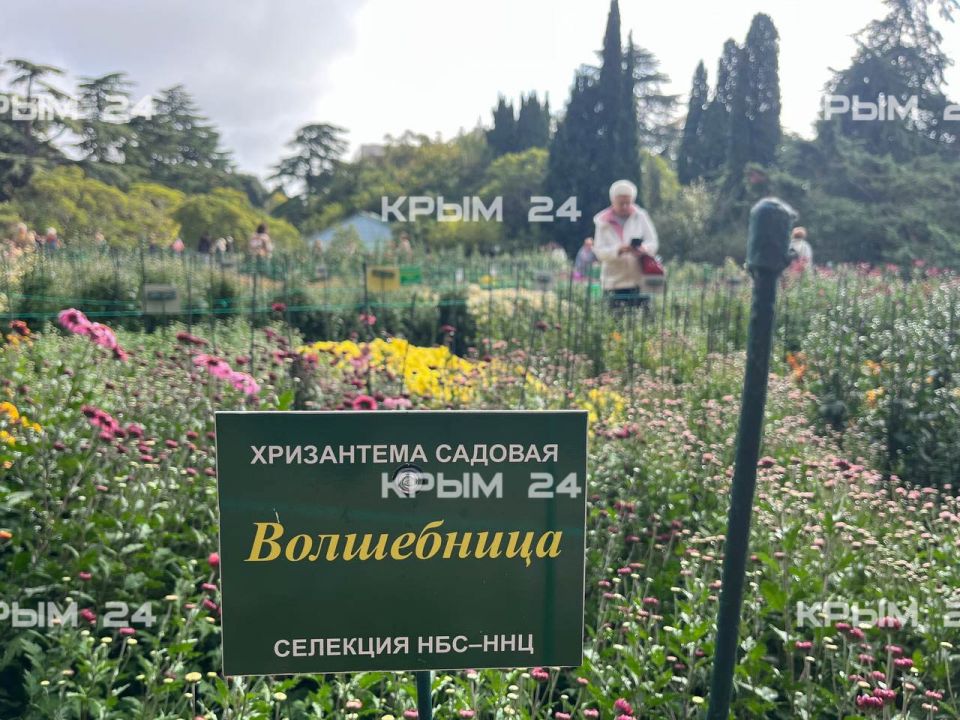 72-� ��� ��������� ���������� � ��������� ������������ ����