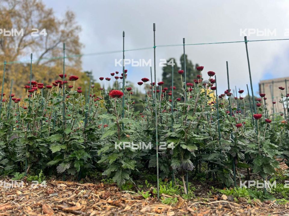 72-� ��� ��������� ���������� � ��������� ������������ ����